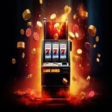 bet663