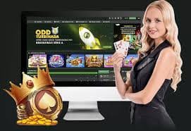 bet663